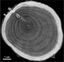 https://www.geochronometria.com/f/fulltexts/184479/j_geochr-2015-0027_fig_002_min.jpg