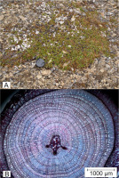https://www.geochronometria.com/f/fulltexts/184489/j_geochr-2015-0035_fig_005_min.jpg