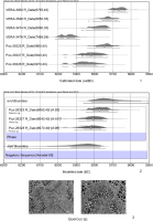 https://www.geochronometria.com/f/fulltexts/184521/j_geochr-2015-0066_fig_002_min.jpg