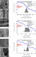 https://www.geochronometria.com/f/fulltexts/184521/j_geochr-2015-0066_fig_004_min.jpg