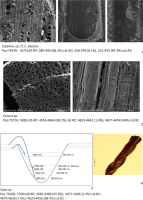 https://www.geochronometria.com/f/fulltexts/184521/j_geochr-2015-0066_fig_005_min.jpg