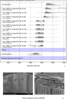 https://www.geochronometria.com/f/fulltexts/184521/j_geochr-2015-0066_fig_007_min.jpg