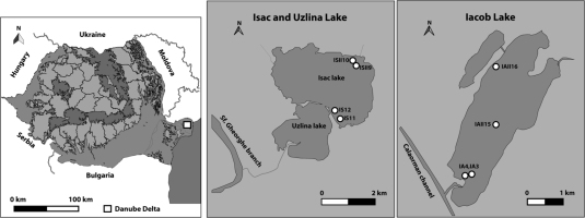 https://www.geochronometria.com/f/fulltexts/184546/j_geochr-2015-0090_fig_001_min.jpg