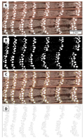 https://www.geochronometria.com/f/fulltexts/184553/j_geochr-2015-0097_fig_003_min.jpg