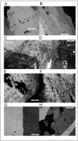 https://www.geochronometria.com/f/fulltexts/184563/j_geochr-2015-0107_fig_003_min.jpg