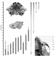 https://www.geochronometria.com/f/fulltexts/184621/j_geochr-2020-0026_fig_004_min.jpg