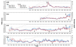 https://www.geochronometria.com/f/fulltexts/184624/j_geochr-2020-0029_fig_005_min.jpg